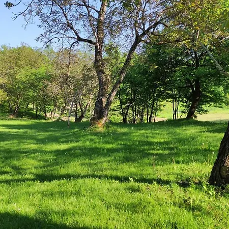 Domek u Litwinów Lipowiec Exterior foto